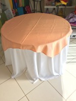 /album/cobre-manchas/cobre-mancha-salmao-cetim-jpg1/